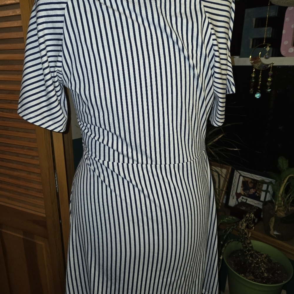 Black and White Striped Sinched At The Waist Dress - Picture 6 of 6
